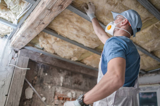 Best Commercial Insulation in Eastport, NY